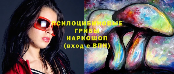 твердый Аркадак