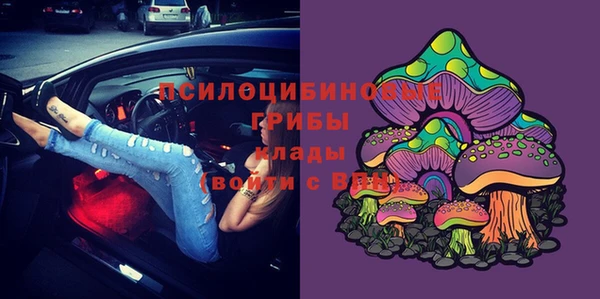 твердый Аркадак