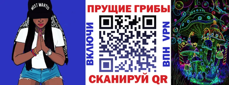 Галлюциногенные грибы GOLDEN TEACHER  Мурино 